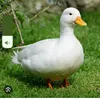 theduck281
