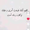 papillon_rose40