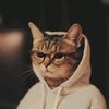 infp_infj0