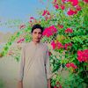 haasil.nizamani