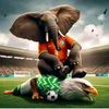 abdulwaris2424