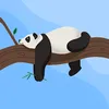 cam_98xiu