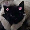 kays.acc92