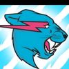 mrbeastoficial24