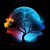 lifaverse