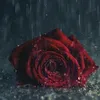 farhad.akre1