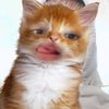 pretty_ndy9