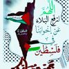user8048607210326