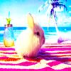 darik_941