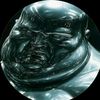 babajayce