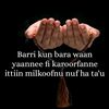 alu.ahmed12allaa