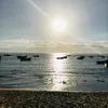 ahmed.marouani8
