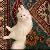 alatwy05