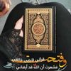 user24316609856742