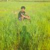 mohammed.abdu246