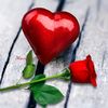 .khaled6026