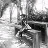 fajarswkil