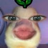 feliciaramadani5