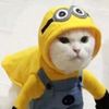 layla_asarpay4