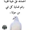 abdo502567