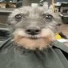 its_not_gegi