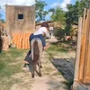 layanevaqueira1