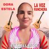 dorachinchilla281