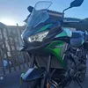 edo_falzo