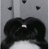liphh_