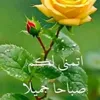 basm.mm5