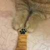 __v_v7