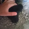 goodwhatthank