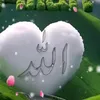 duha.hatm