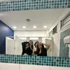 renaa.rossii