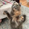 rosie.toesy