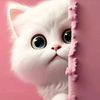 pinkypoky.id
