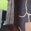jemieisanan