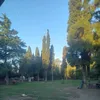 maximilianomatias20