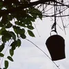 kshitizamgr_