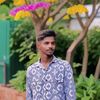 princ4466