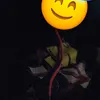 mendesnz