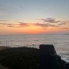 iwant_tacobell234