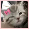 mrym0251