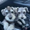 indyandterry