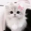 yunaakk_0402