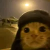 bulldog_157