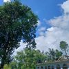 farhan67280