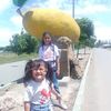 mslm.artan7