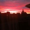 raupungawayz_067