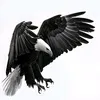66_richkid.dongthap